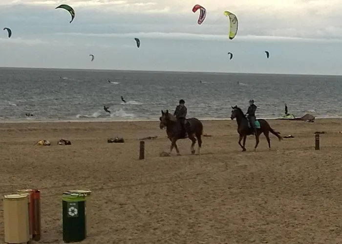 Chalet Beachhouse Rockanje