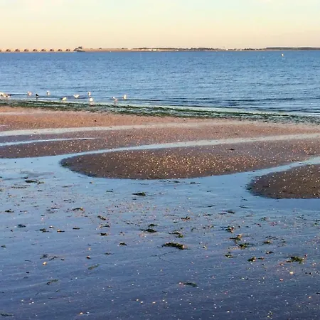 Beachhouse * Rockanje