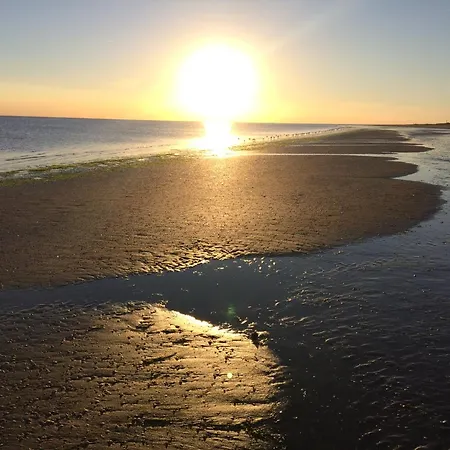 Chalet Beachhouse Rockanje